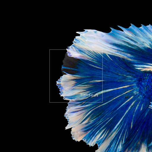 免费欧美性爱视频
